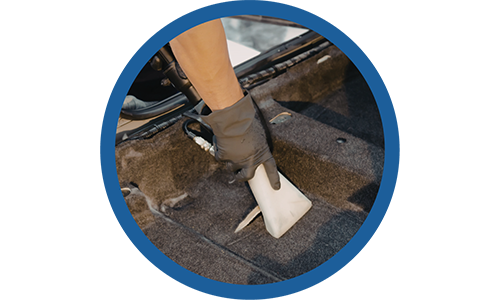 a person vacuuming carpet